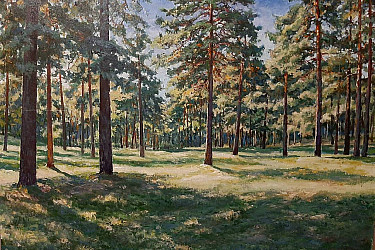 Сосновый бор на центральной.  Волковыск, Беларусь
